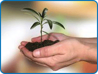 Grow